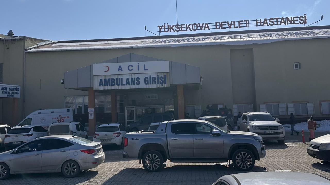 Hakkari'de köpek saldırısı sonucu çocuk öldü