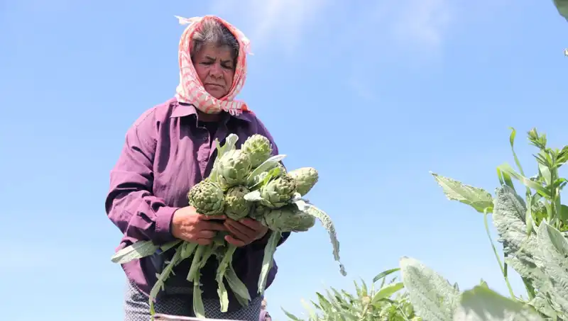 Tarım Ürünlerinin Fiyatları Uçuşa Geçti: Tezgahta 50 TL!