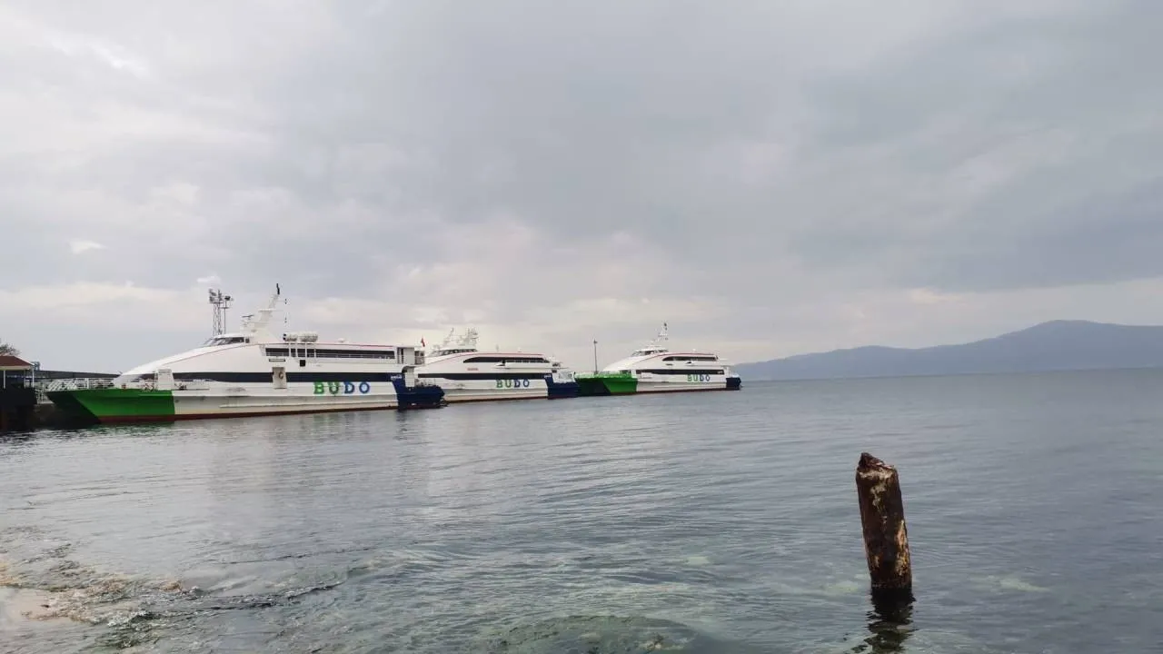 Bursa Deniz Otobüsleri Seferleri Fırtına Nedeniyle İptal Edildi: Yolcular Uyarıldı