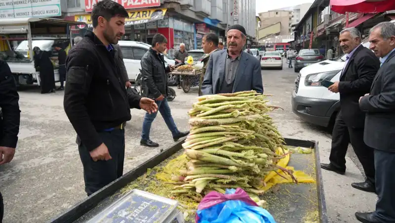 Dağlık Alanlardan Gelen Şeker: Kanser ve Mide Hastalıklarına Karşı Etkileyici Bir Çözüm