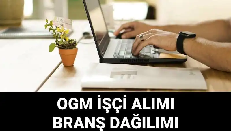 Orman Genel Müdürlüğü 4500 Geçici İşçi Alacak: Başvuru Şartları ve Süreç Detayları