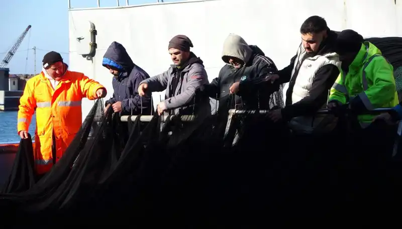 Denizlerde Hamsi Stoku Tükendi, Balıkçılar Erken Sezonu Kapatmak Zorunda Kaldı