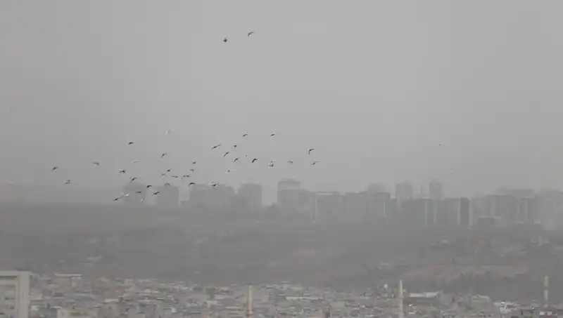 Şanlıurfa’yı Felç Eden Toz Bulutu: Görüş Mesafesi Neredeyse Sıfır!