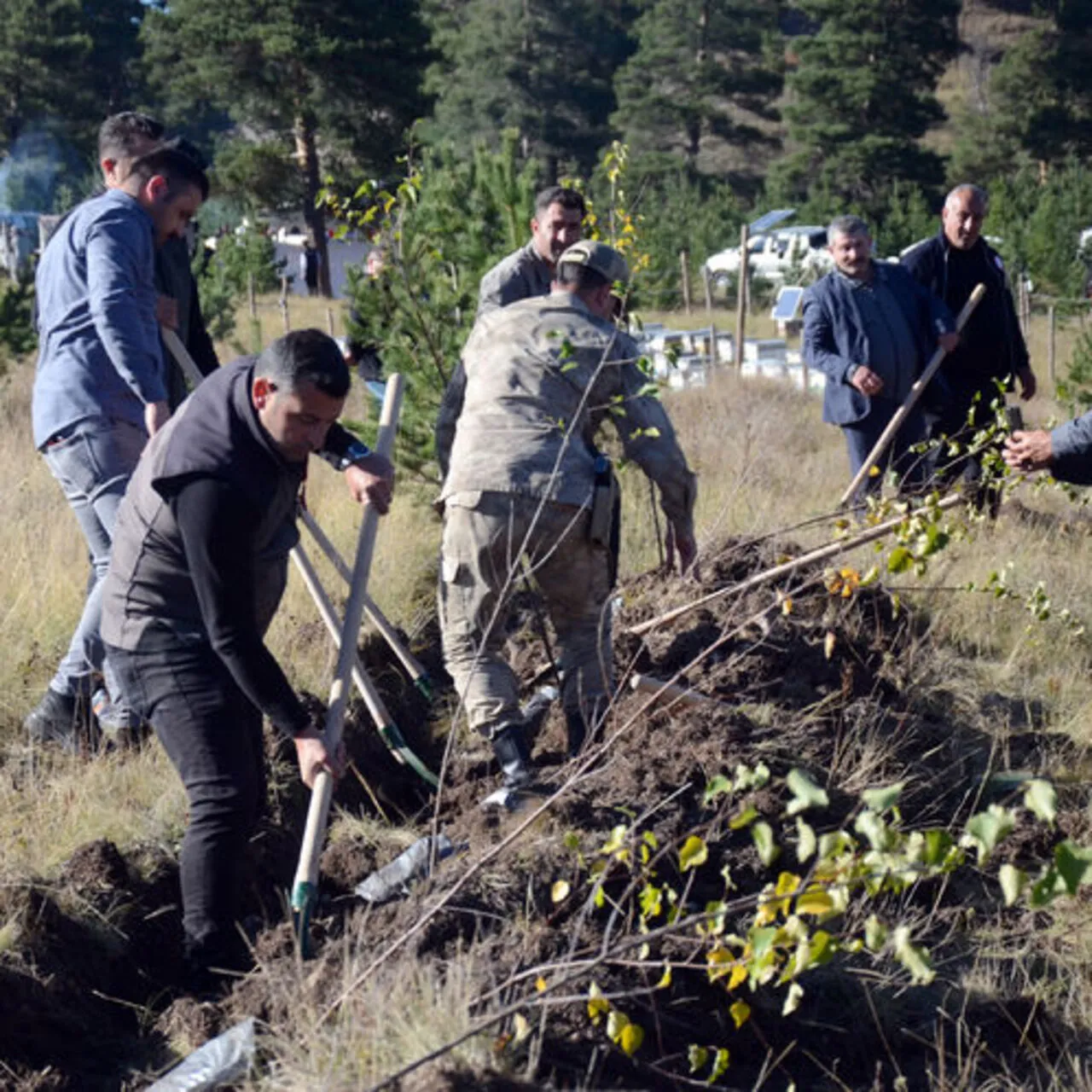 Sarıkamış ve Çanakkale Şehitleri Anısına Hatıra Ormanı Oluşturuldu