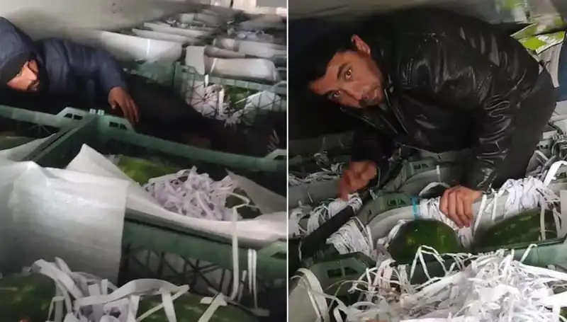 Karpuzlar Arasında Sır Dolu Göçmen Vahşeti: Olayın Gerçek Yüzü