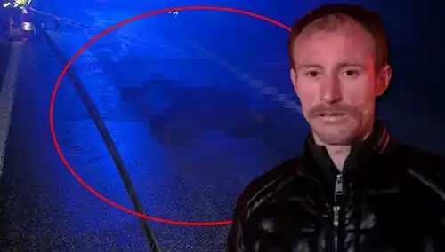 Kamyonetle Hayvanı Ezdi, Gerçek Şok Edici Gerçek Ortaya Çıktı!