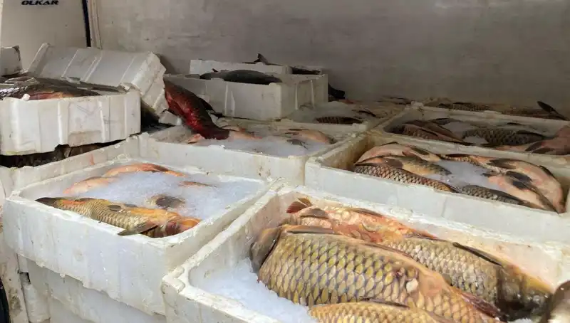 ** Kaçak Balık Avına Çıkanlara Cezalar Yağdı: Binlerce Lira!**