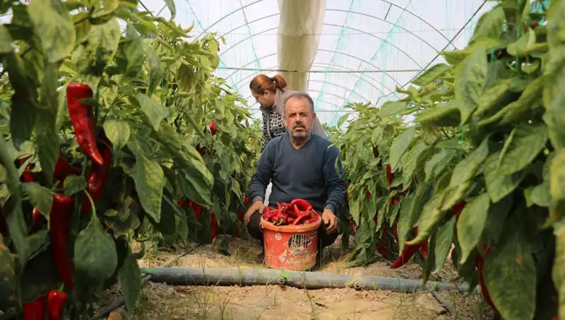 Fiyat Artışı Şoke Etti: 50 Liralık Ürün Şimdi 80 TL!