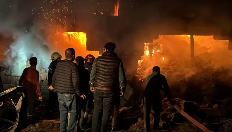 Bolu'da Dumanlar İçinde Kalan Ahır Yangını, Hayvanları Tehdit Etti
