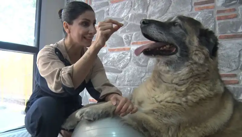 Obeziteyle Savaş: 55 Kilo Fazla Olan Duman’ın Transformasyon Hikayesi