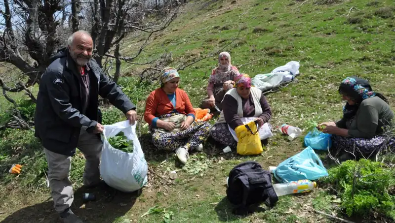 Yürüyerek Topladıkları Kilosu 250 Lira: Yüzlerce Aileye İstihdam Sağlıyor