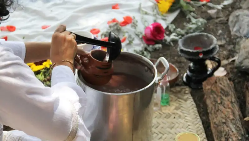 Ayahuasca: Gizli Şifa Kaynağı mı, Yasa Dışı Bir Tehlike mi?
